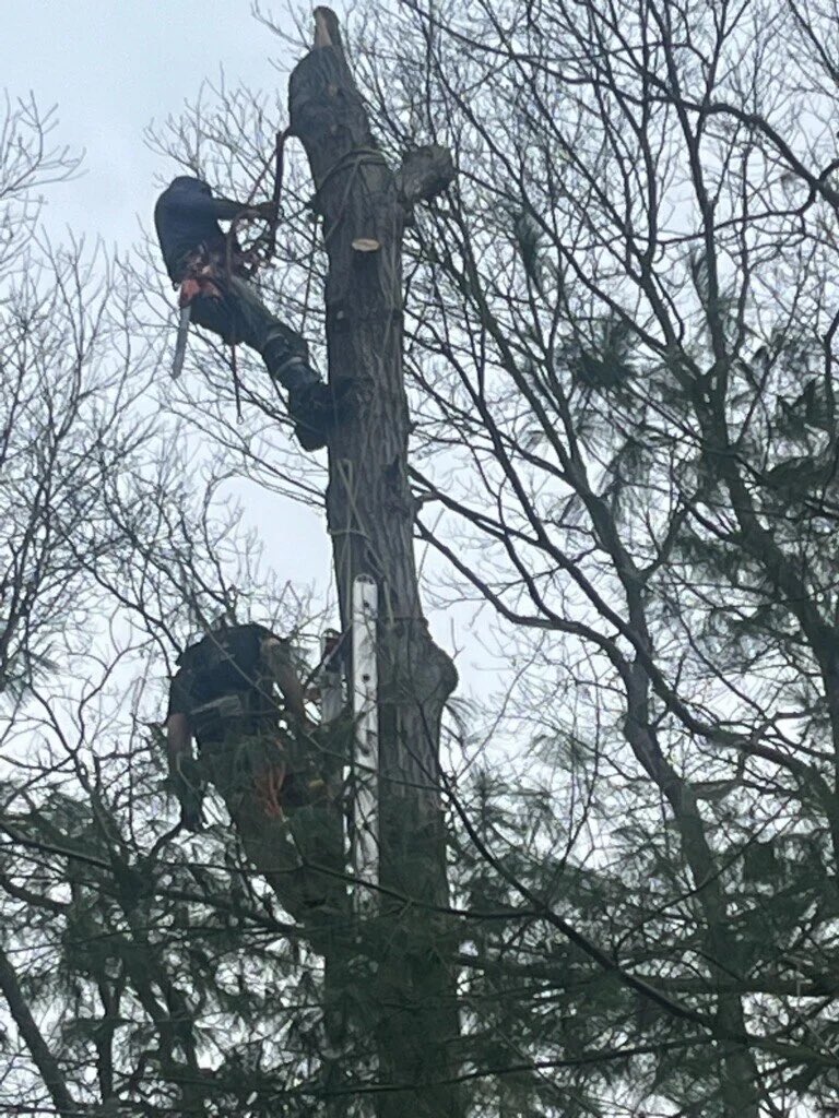 Live Boston News tweet media