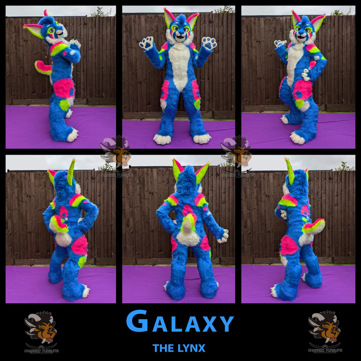 Cub π¬π§ πΊπ² (@charredfursuits) on Twitter photo Everyone welcome Galaxy to the Charred Fursuits Family!
Better late than never! I took these with a shorter model (me) and it was REALLY windy but sometimes you have to go with what you've got :P
<a href="/zeefuzz/">Zee</a> Everyone welcome Galaxy to the Charred Fursuits Family!
Better late than never! I took these with a shorter model (me) and it was REALLY windy but sometimes you have to go with what you've got :P
<a href="/zeefuzz/">Zee</a>
