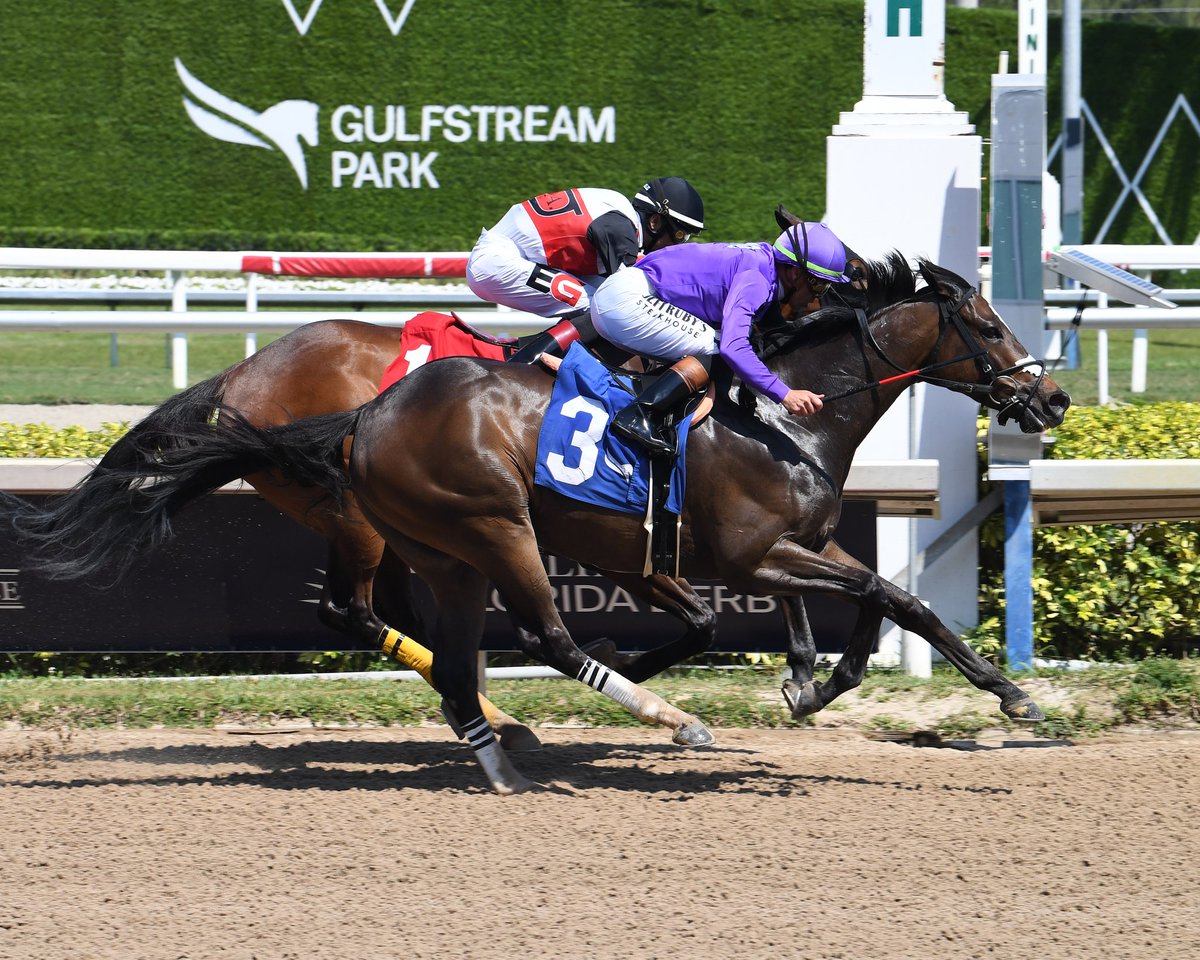 Freedom Road defeats Morgan Point to grab the victory in race 5, <a href="/iradortiz/">Iradortiz</a> rode for trainer Richard Sillaman and owners Panda Stable, LBR Racing Stable, Rashid's Thoroughbred Racing. #GulfstreamPark #ChampionshipMeet