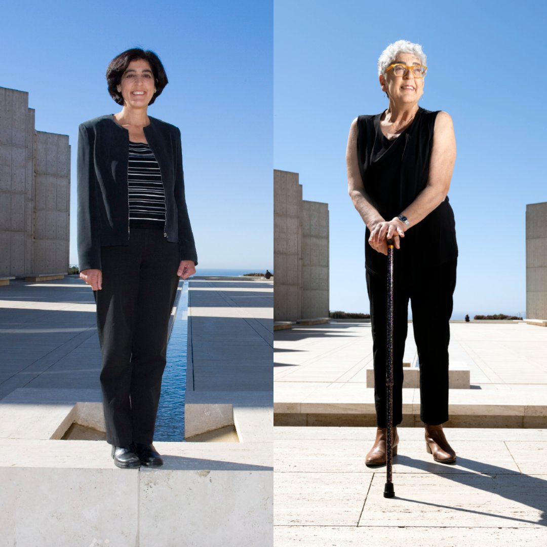 Celebrating the life of Salk Professor Joanne Chory 🌿

Last week, we honored the memory of Joanne Chory with a commemorative program and reception celebrating her extraordinary life and legacy on March 19, what would have been her 70th birthday.

It was a meaningful tribute to