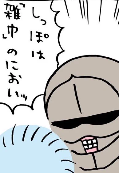 @RaccoonField 