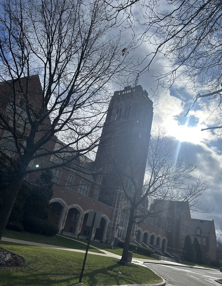 Bella DiGeronimo tweet media