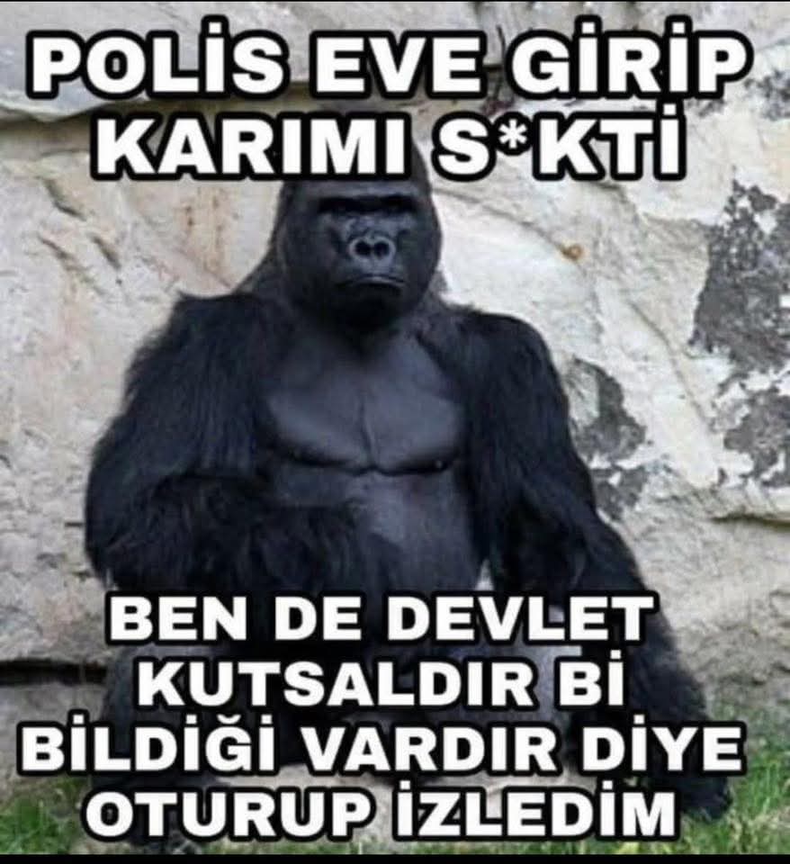 Bir Sylas Fedaisi (@pendupoat59366) on Twitter photo 