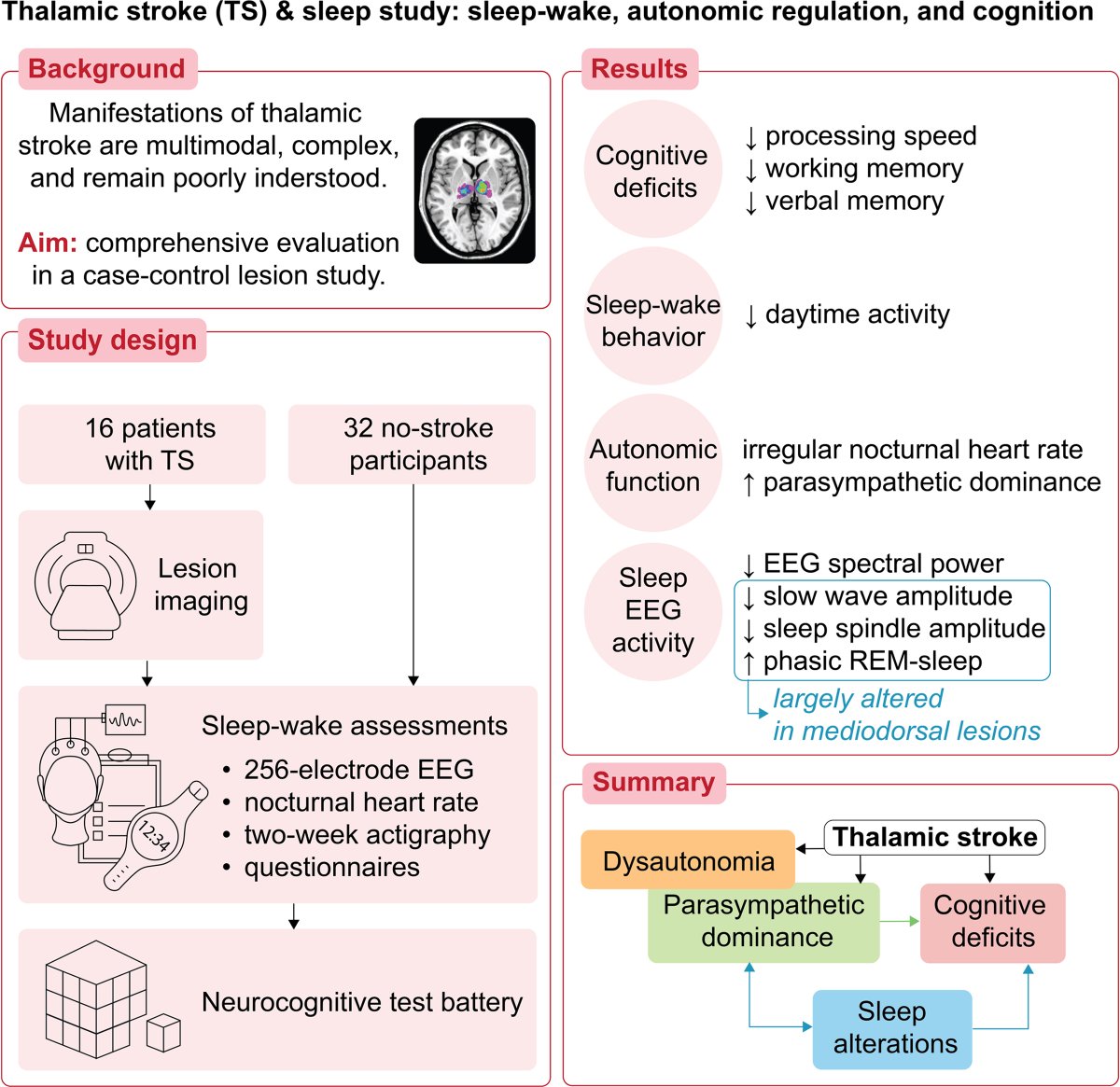 Stroke AHA/ASA tweet media