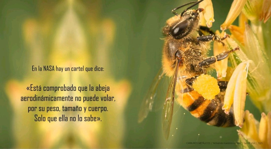 🐝 En la NASA hay un cartel que dice: «Está comprobado que la abeja aerodinámicamente no puede volar, por su peso, tamaño y cuerpo. Solo que ella no lo sabe».
Frase cierre de la ponencia de hoy con una empresa que tiene claro que se puede volar y muy alto. 
#equipos #teambuilding