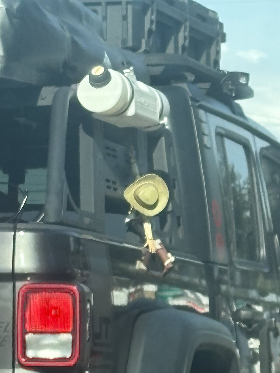 Apparently Woody is on another rescue mission #floridalife