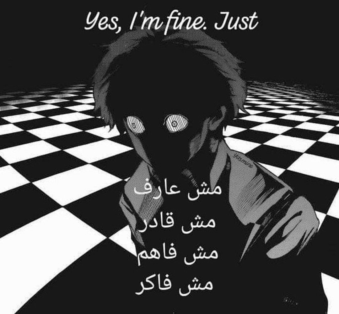 True Memes (@truememes_) on Twitter photo 