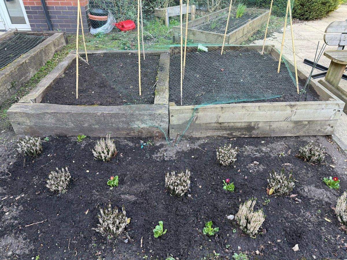 Thahmina Akhtar OT (@thahmina_ot) on Twitter photo 🦋Spring has officially graced our unit🦋Which means the planting season has commenced for the Gardening Group. #OccupationalTherapy #PowerofOT #OT #TheraputicActivity #TogetherGMMH #MDT #NHS <a href="/nigellGMMHrehab/">Nigel Skillen</a> <a href="/GMMH_NHS/">Greater Manchester Mental Health</a> 🦋Spring has officially graced our unit🦋Which means the planting season has commenced for the Gardening Group. #OccupationalTherapy #PowerofOT #OT #TheraputicActivity #TogetherGMMH #MDT #NHS <a href="/nigellGMMHrehab/">Nigel Skillen</a> <a href="/GMMH_NHS/">Greater Manchester Mental Health</a>