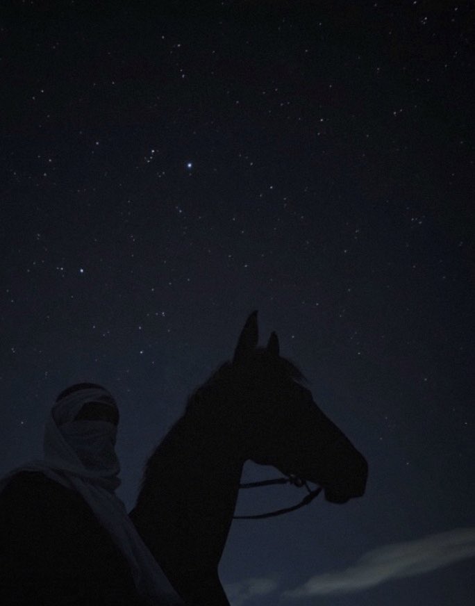 aaaab_aaaabb's tweet image. Chasing the night, collecting moments under the stars.