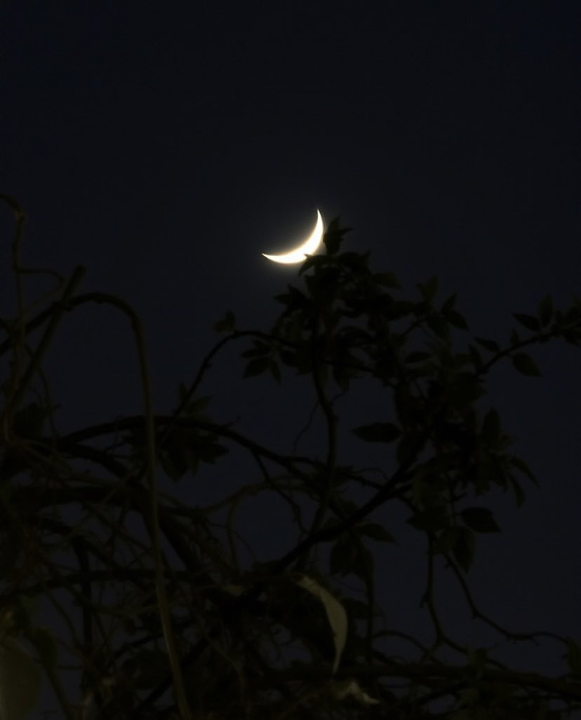 aaaab_aaaabb's tweet image. Chasing the night, collecting moments under the stars.