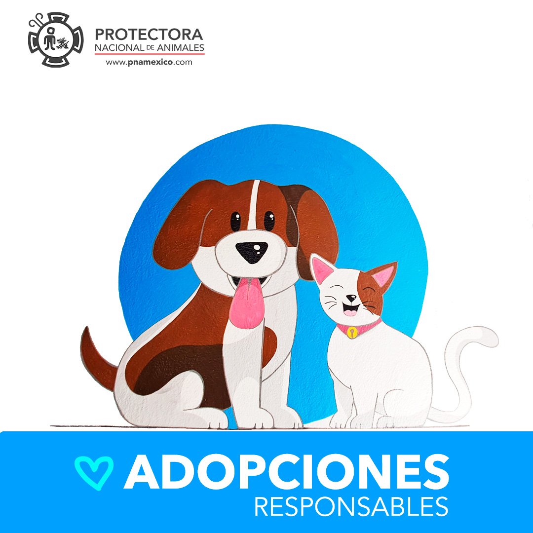#serviciosconcausa TÚ HACES LA DIFERENCIA!
Al contar con tu preferencia haces posible nuestra labor  para ayudar a los chaparritos  que están en adopción. 🐾💕
¡Agradecemos tu confianza y apoyo!
#veterinaria #esteticacanina #cremacionmascotas  #adopciones #Lomitos  #michis