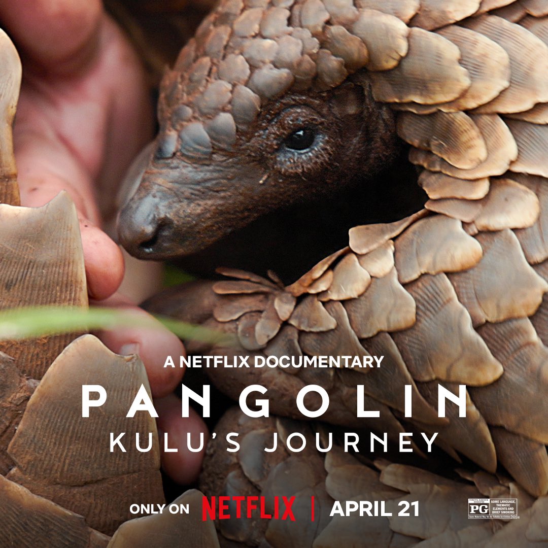 One for the diaries coming soon on Netflix! “PANGOLIN - Kulu's Journey"…A film by Pippa Ehrlich (the director of My Octopus Teacher) and produced by George Chignall, Pippa Ehrlich, Jessica Grimshaw and Nick Shumaker for Dog Star Films and Anonymous Content.
Score by <a href="/annenikitin/">Anne Nikitin</a>