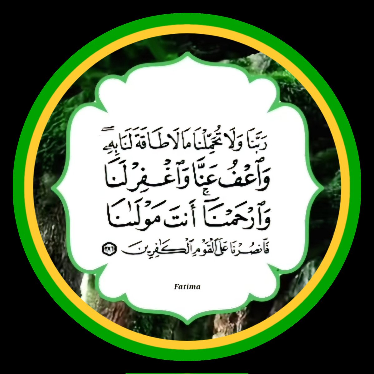 عبدالله عبد الرحمن الدايل ابوخالد (@akmarmoon) on Twitter photo 