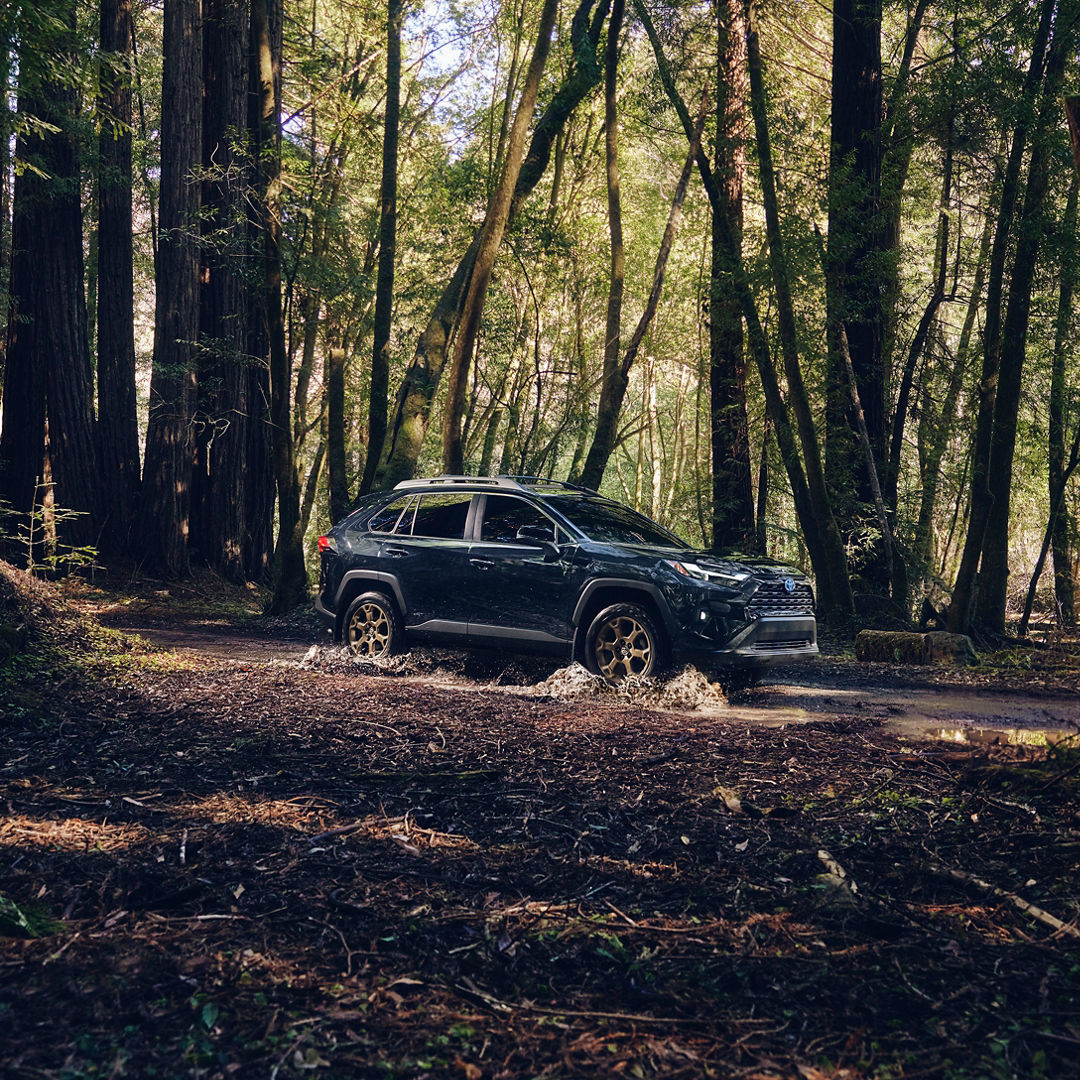Find your escape in the woods with the Toyota RAV4. 🌳 The perfect model for off-road adventures and fun drives. #ToyotaRAV4 #BillPenneyToyota

billpenneytoyota.pulse.ly/ehxoqumvxh