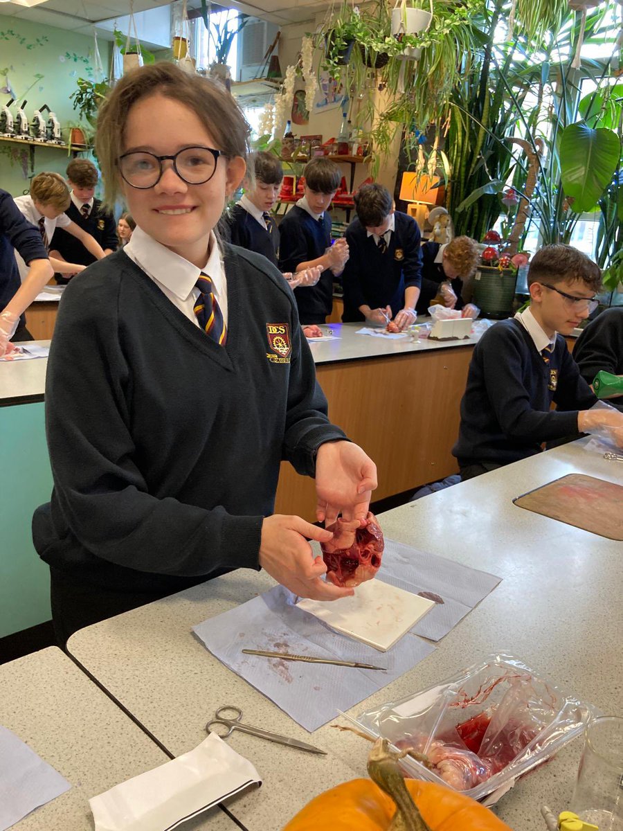 Dwr-Y-Felin Science tweet media