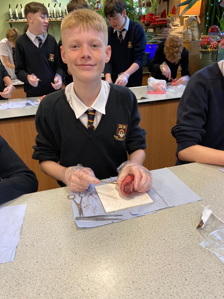 Dwr-Y-Felin Science tweet media