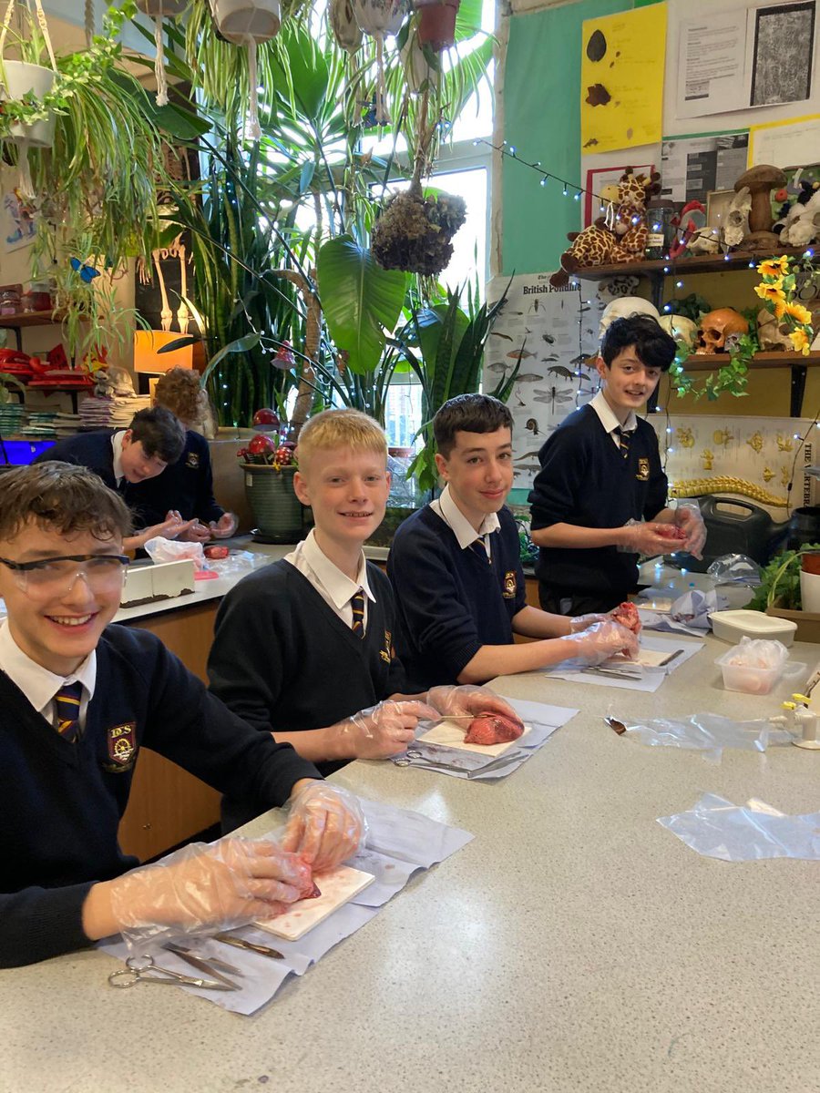 Dwr-Y-Felin Science tweet media