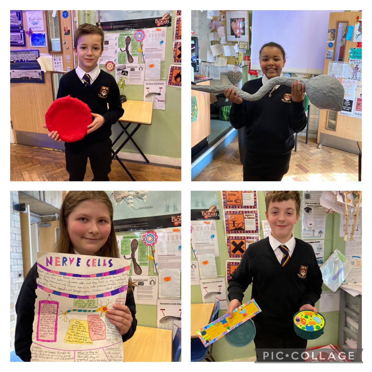 Dwr-Y-Felin Science tweet media