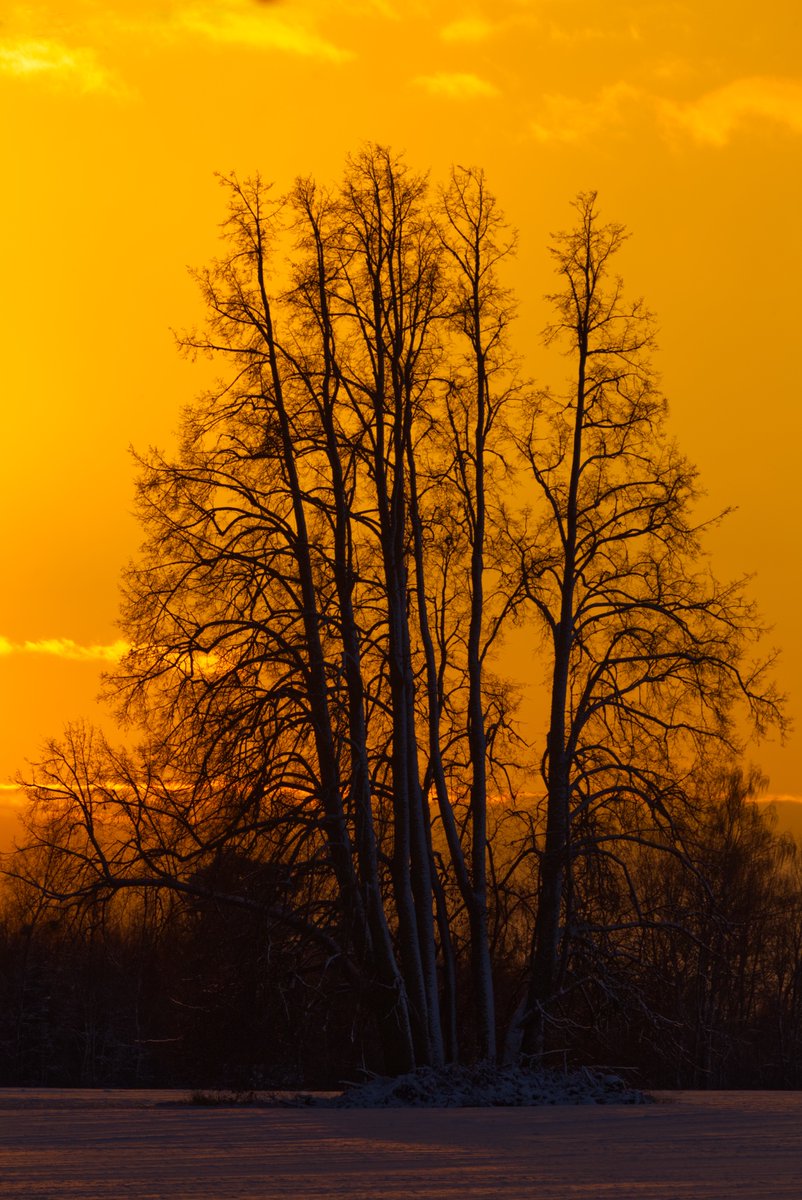 Run_fly_Smile's tweet image. Words are the vibrations of nature. Therefore, beautiful words create beautiful nature 😊

Masaru Emoto

#Words #Vibrations #Nature #MasaruEmoto #Water #Tree