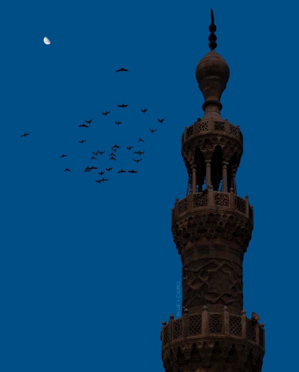 • Allah’ım, eğer dilim dua ederken ne isteyeceğini bilmiyorsa sen kalbimi duy ..
Gecemiz mübarek olsun  ..''