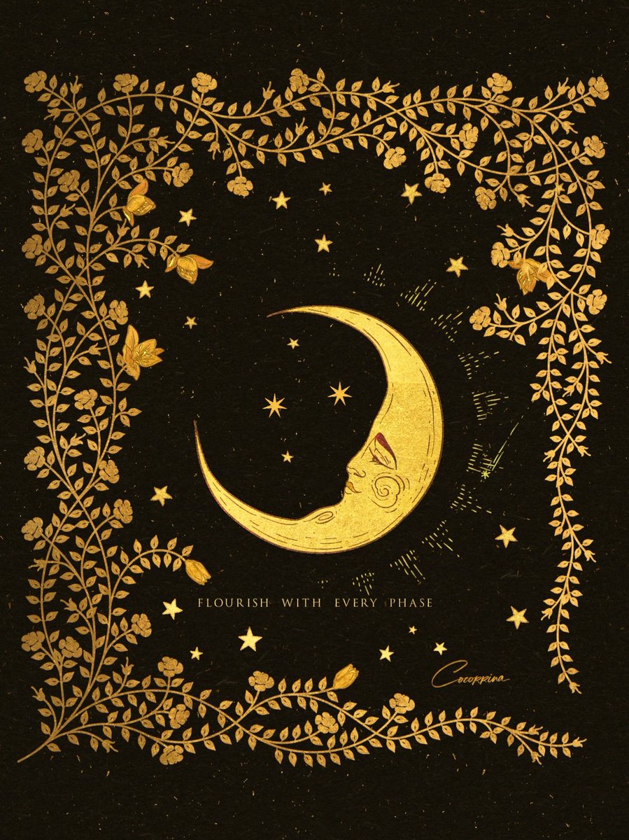 Cocorrina tweet media