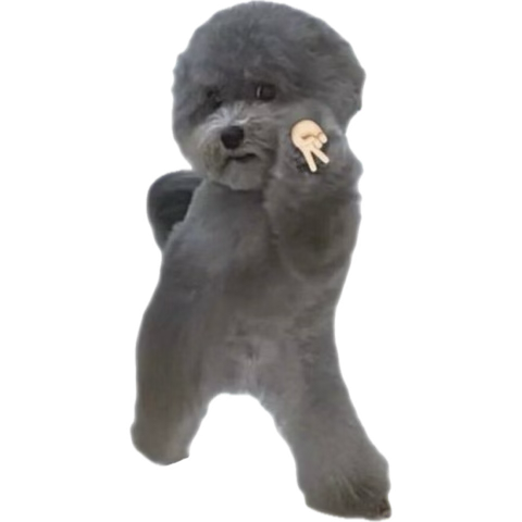 OhKero 🐸 tweet media