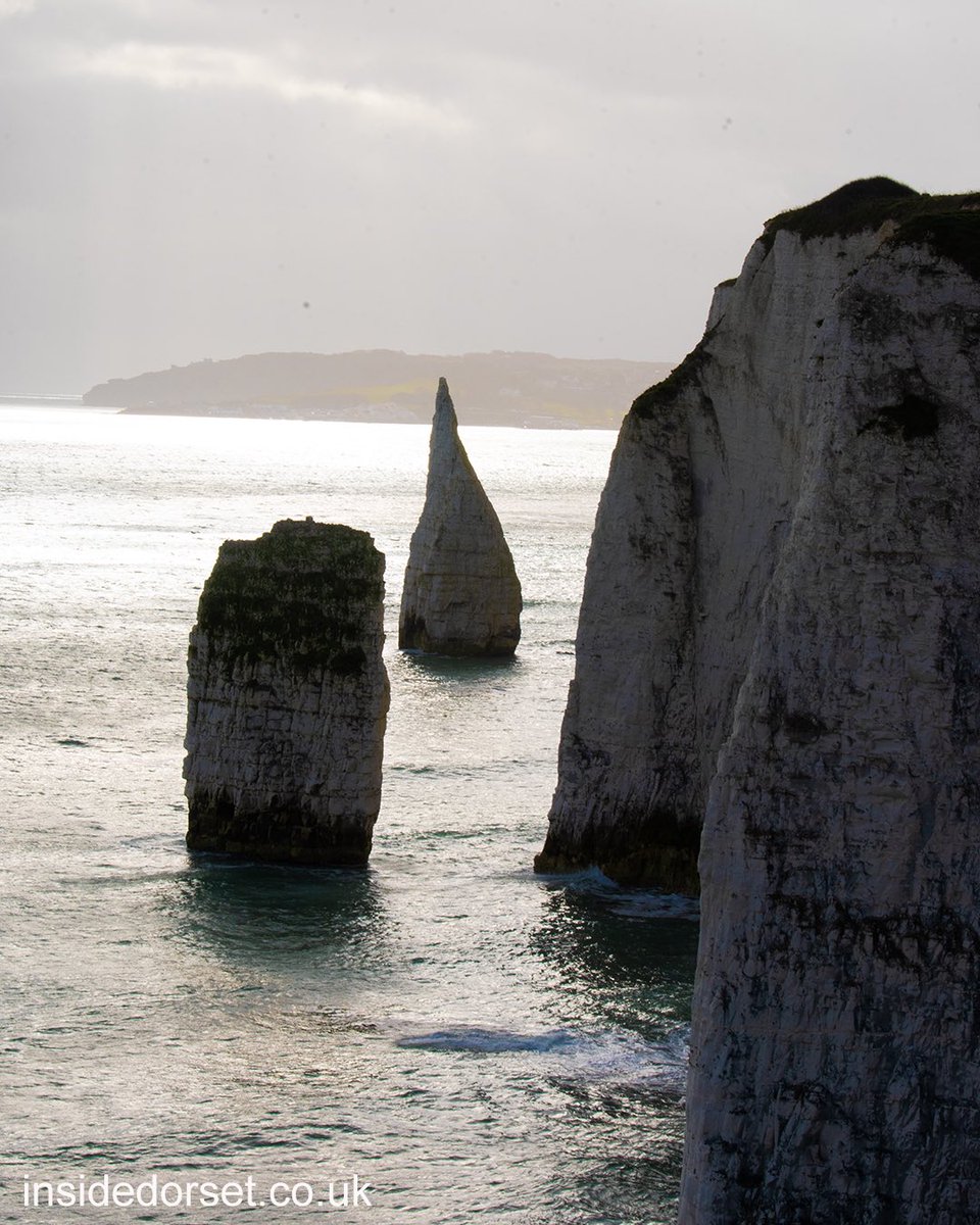 The Pinnacles near Old Harry Rocks. If you're standing at Old Harry Rocks, look towards Swanage to see these fabulous chalk sea stacks. Walk there from South Beach Studland (National Trust) but watch out for the cliff edges.