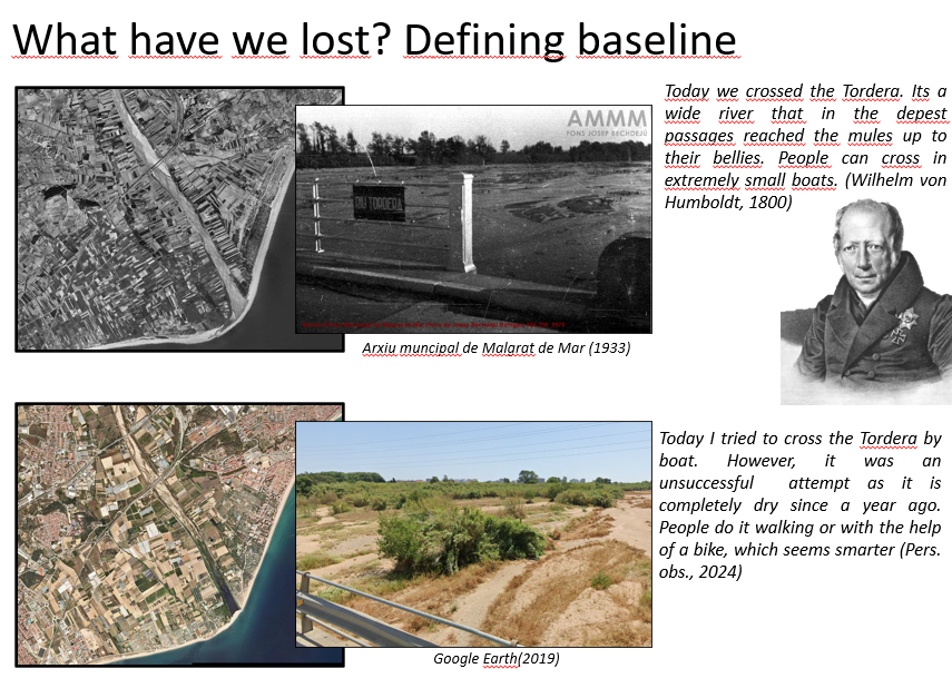 PochSantiago's tweet photo. 🧑‍💻Recupero la presentació al darrer International Pond Conference #PONDERFUL (2024)

Vam parlar del projecte de restauració de punts d'aigua a la Tordera: fites assolides i molts reptes al davant 🐸💦

Per qui en vulgui fer una lectura 👇
https://t.co/RcGmDecfl9 https://t.co/u6E8ohy75W