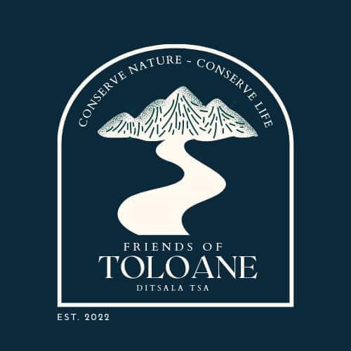 TkRabotho's tweet image. We’re ready for the #WaterandSanitationIndaba! As a civil society water sector stakeholder, the Friends of Toloane is driving #CitizenScience, eco-schools &amp;amp; community solutions for a #WaterSecure future for Gauteng. Looking forward to impactful discussions!

 #WaterSecurity