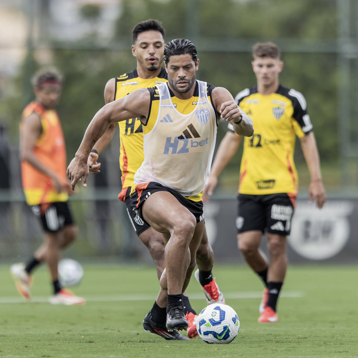 Social