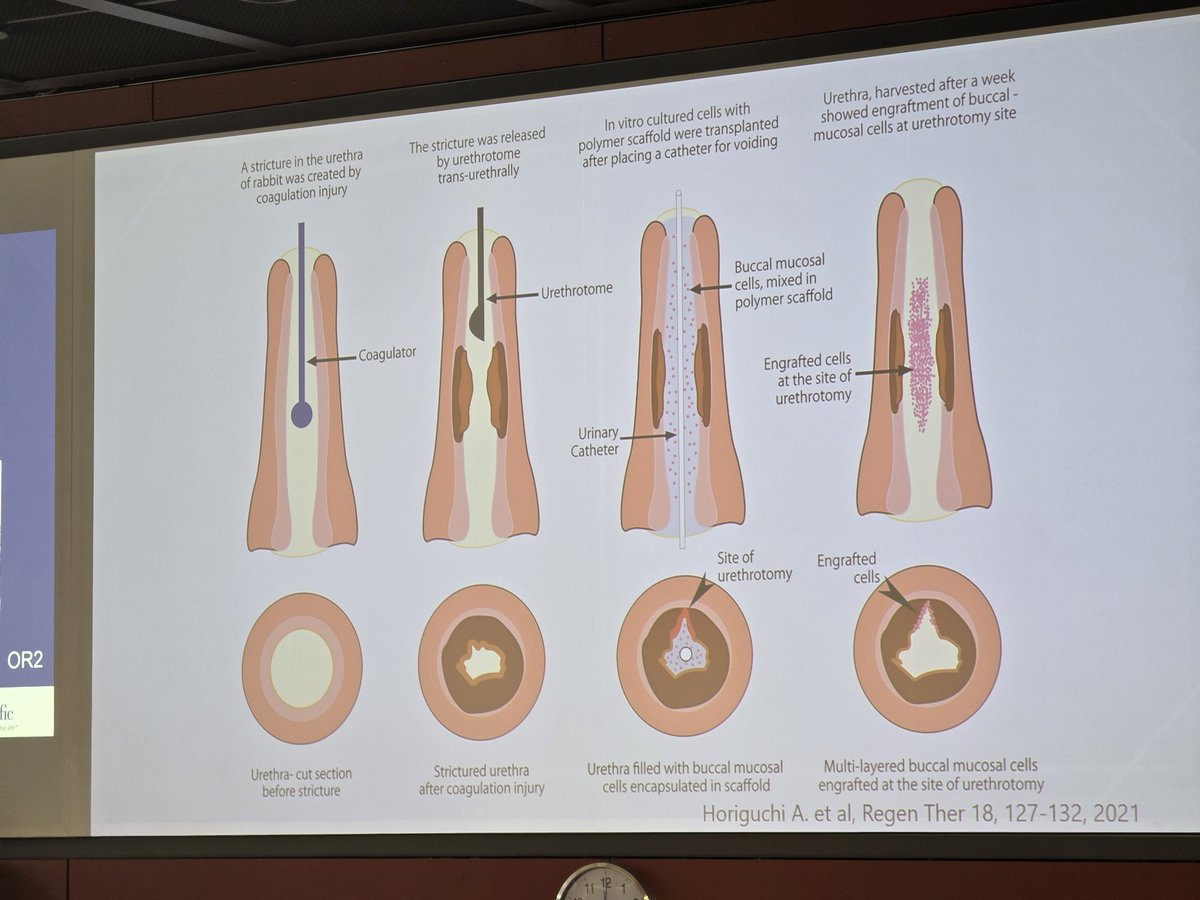 Sanad Saad tweet media