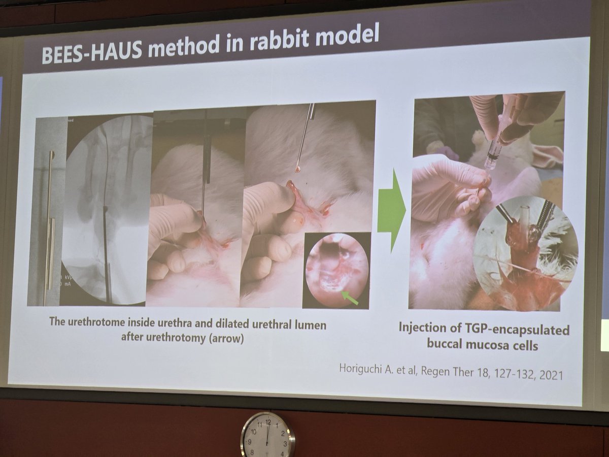 Sanad Saad tweet media