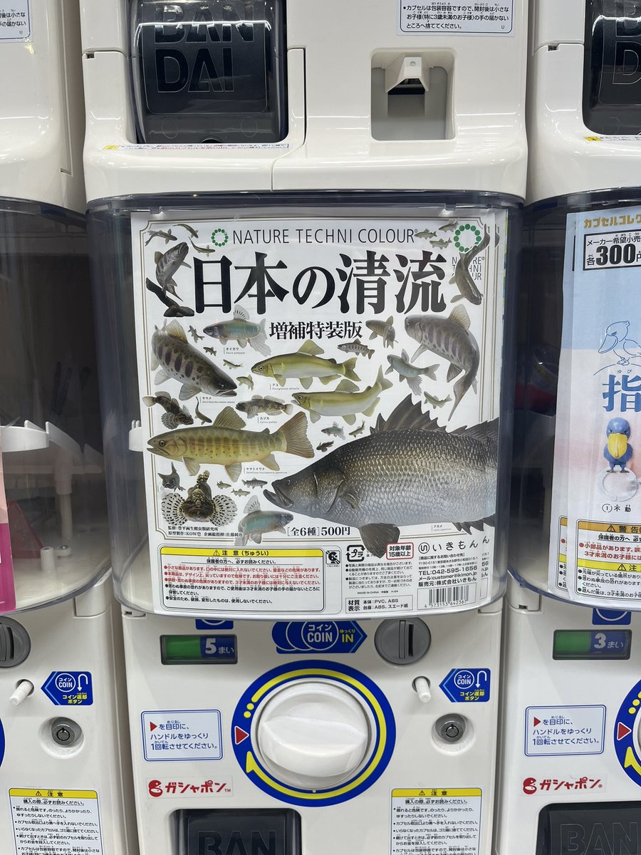 BUNNYRABBIT 🐇 tweet media