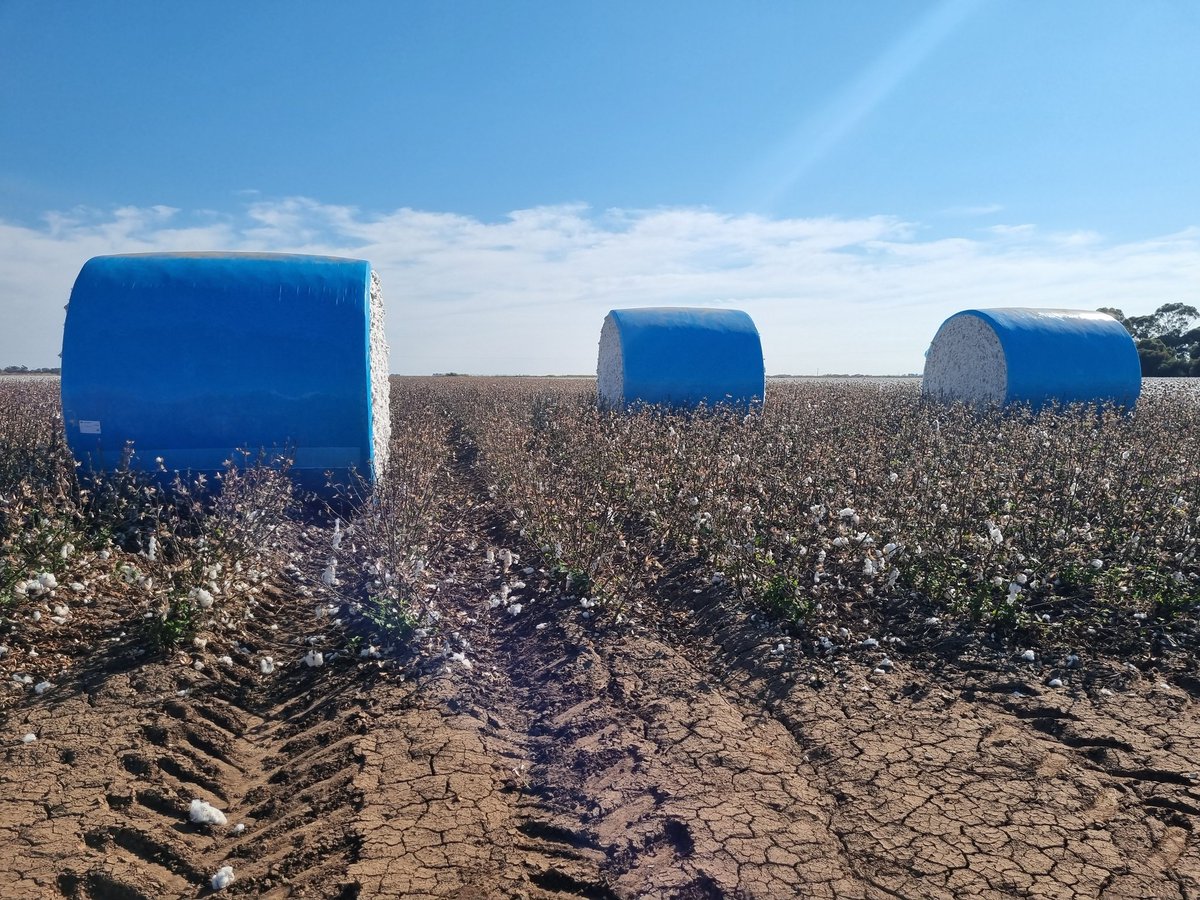 Associate Professor Wendy Quayle tweet media