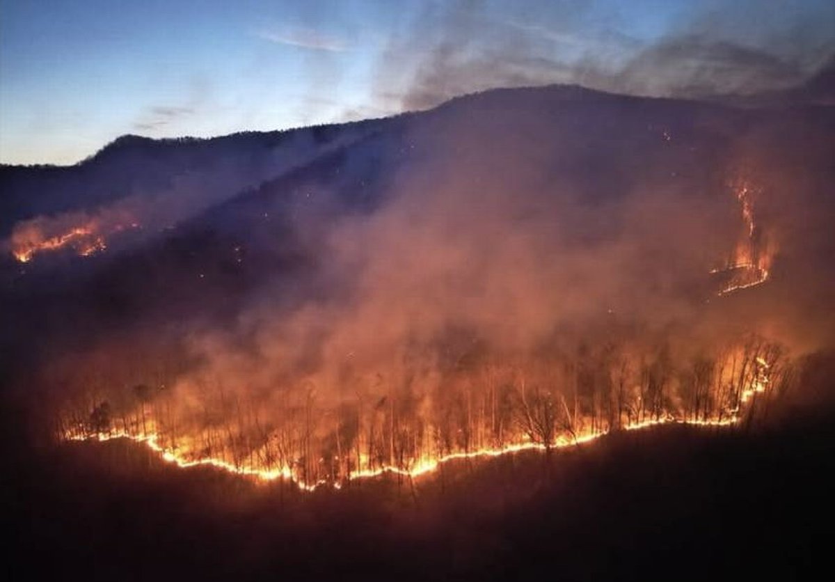 WE HAVE A SERIOUS WILDFIRE PROBLEM IN WESTERN NORTH CAROLINA RIGHT NOW AND NO ONE IS TALKING ABOUT IT!!!!

- 11 HOMES HAVE BURNED TO THE GROUND
- HUNDREDS OF PEOPLE ARE BEING EVACUATED
- FIREFIGHTERS ARE TELLING PEOPLE THEY CAN'T SAVE HOMES UP CURVY ROADS

WE NEED HELP!!!!!