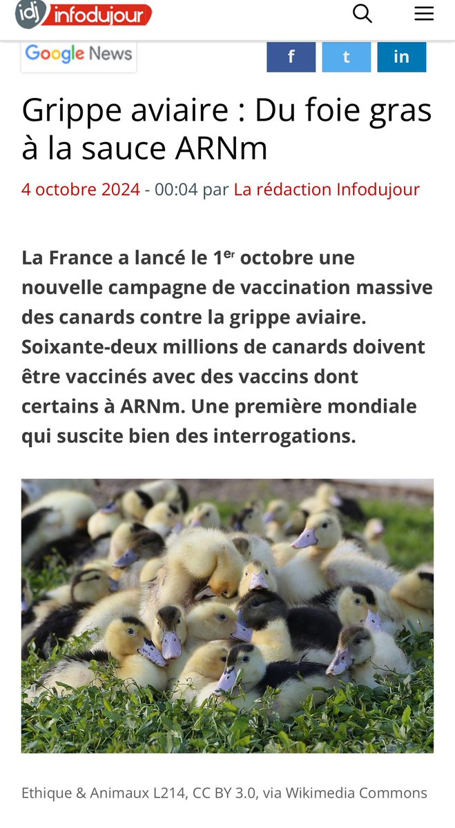 vetopatriote's tweet image. «les intérêts en jeu:
1-d’abord #idéologiques,il faut toujours #injecter,mettre de l’ARNm partout
2Financiers,il ya des #spéculateurs sur l’agroalimentaire 
3-Les intérêts financiers de #BigPharma
En 🇫🇷,cas unique au monde:vaccin ARNm pour les 🦆 
Des débats à venir?»
#Philippot
