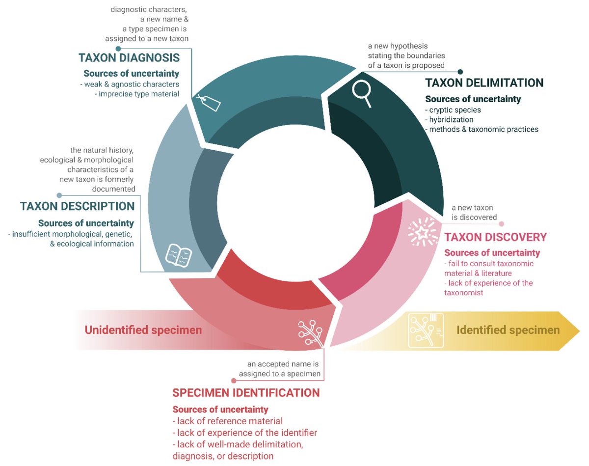 @EcoEvoRxiv tweet media