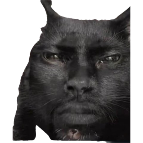 🇦🇫 Abyss Shockzy 🇦🇫 tweet media