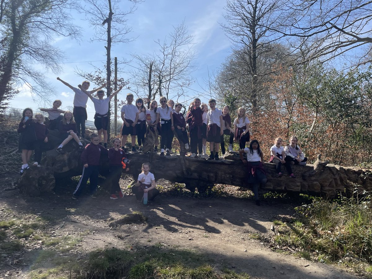 Gnoll Primary tweet media