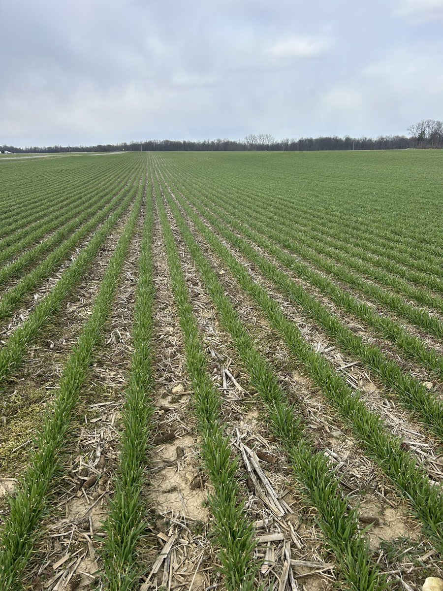 Matt Bambauer 🇺🇸 tweet media