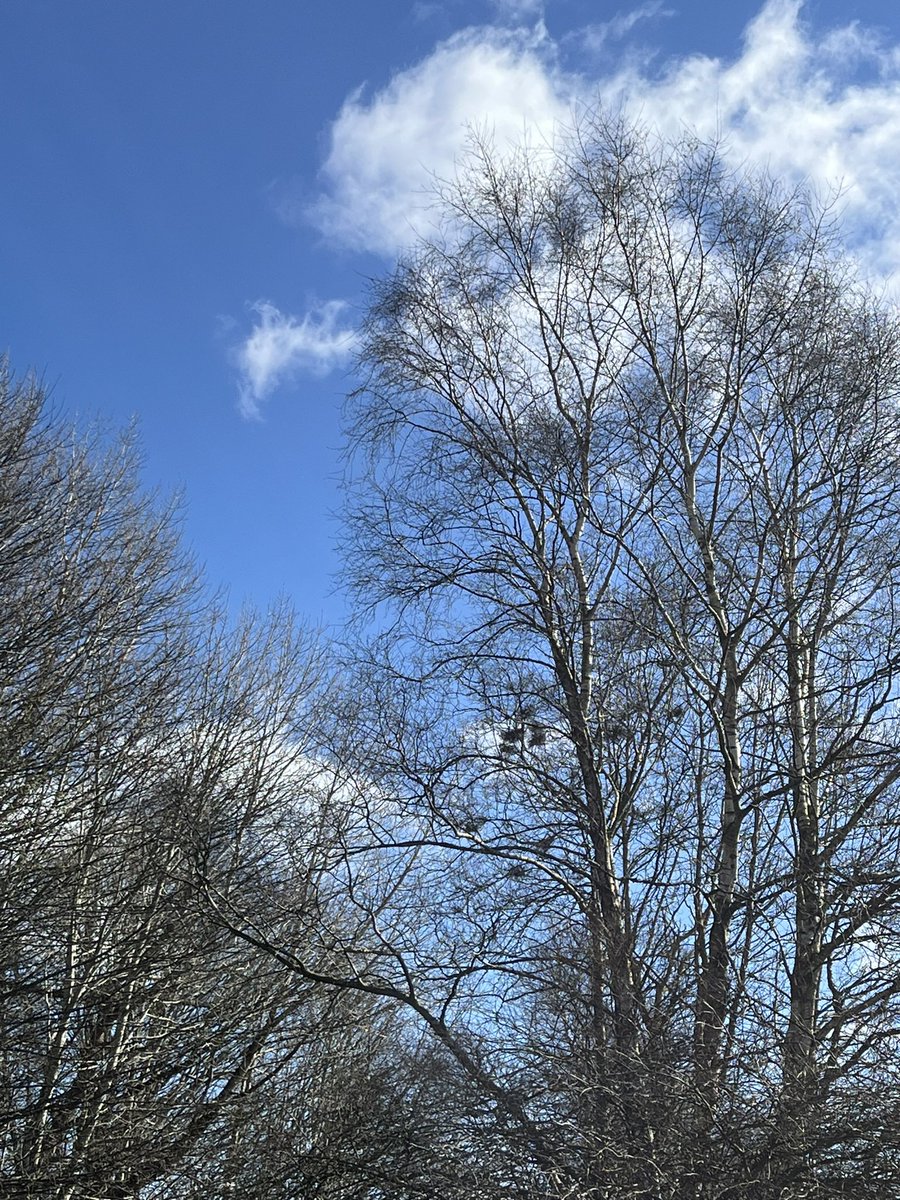 Bathgate Early Years Centre tweet media