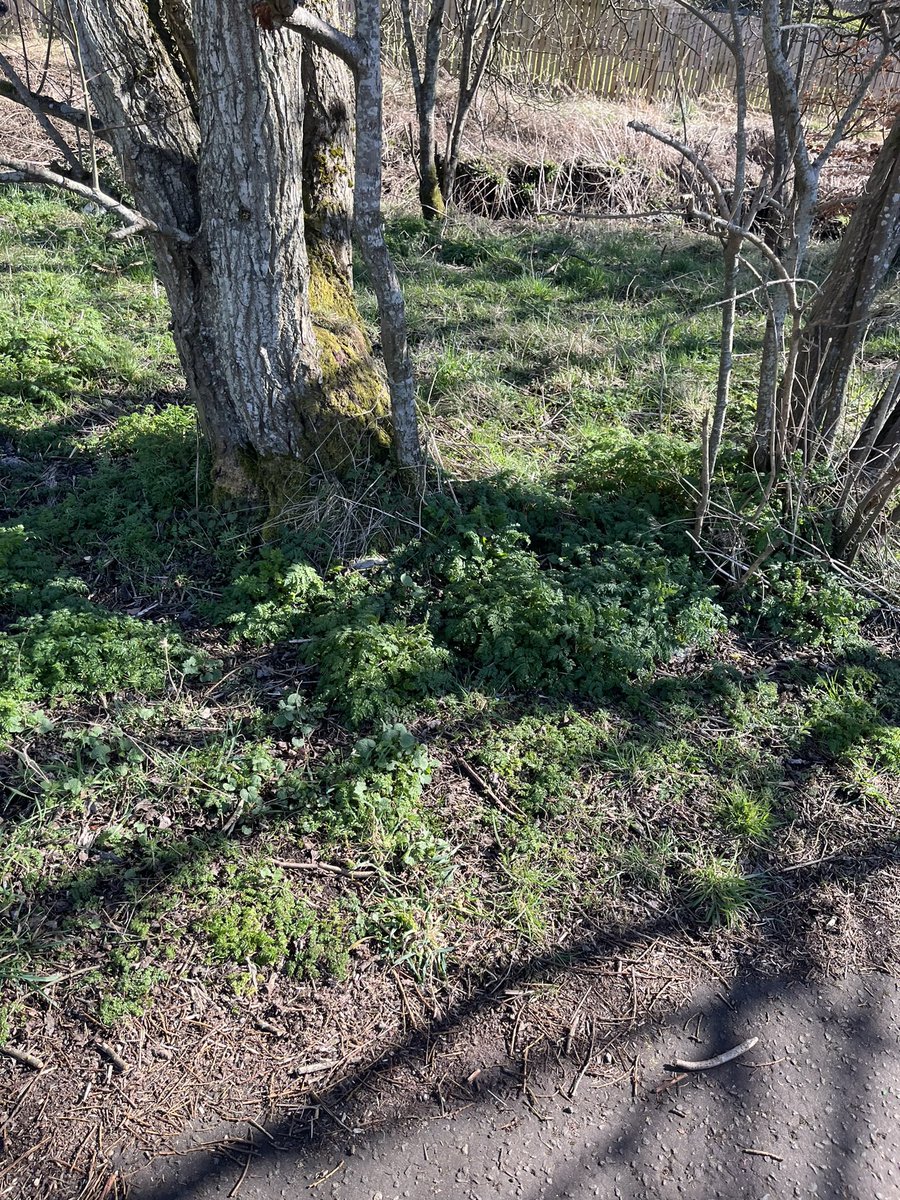 Bathgate Early Years Centre tweet media