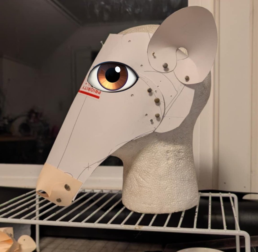 Salsa the Giant Anteater 🔜 AC tweet media
