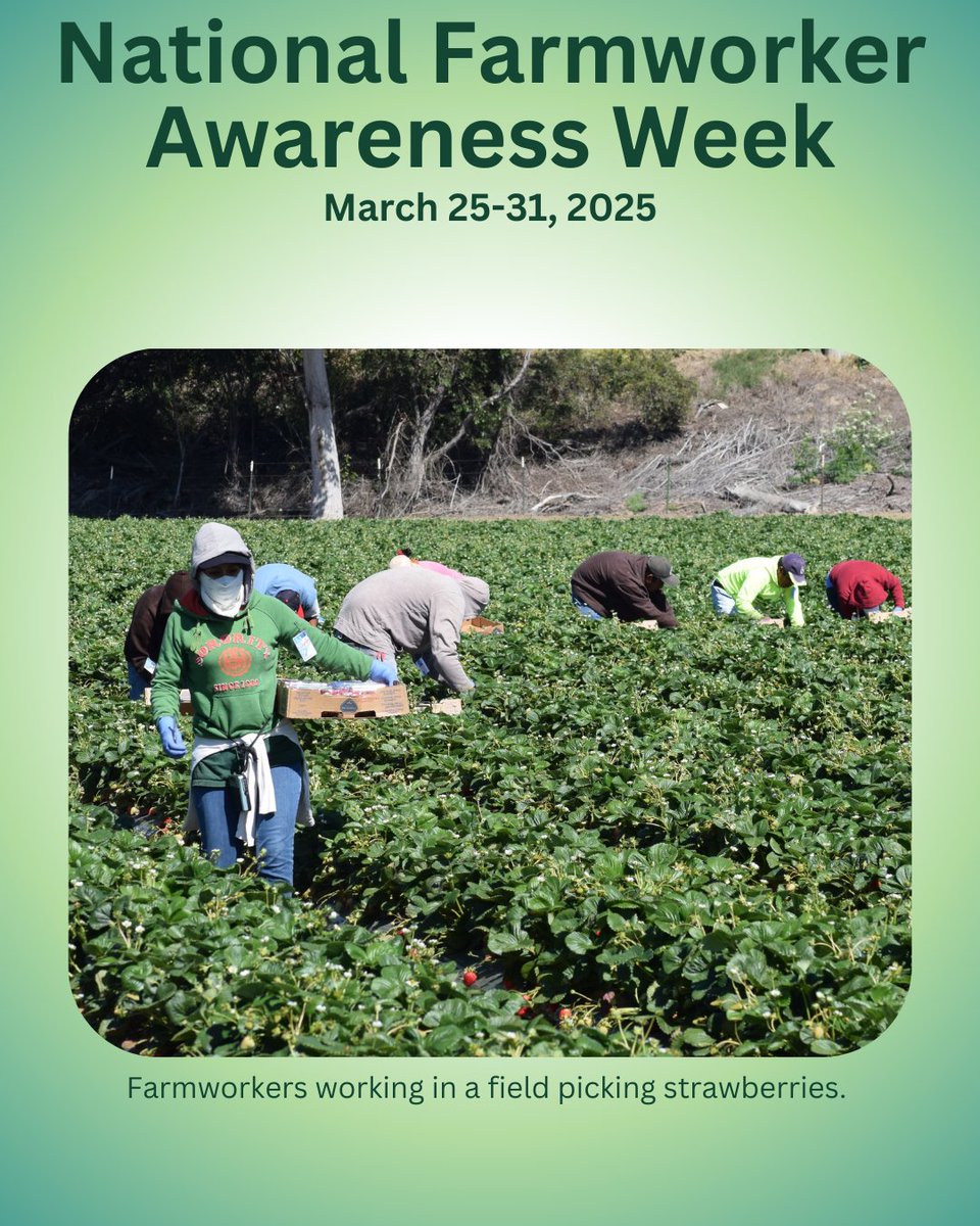 OEHHA's tweet photo. It’s #FarmworkerAwarenessWeek! Farmworkers do the vital work of feeding the world with skill and dedication. This week, we’ll highlight a few of the many organizations in California that advocate for and support their health, safety, and rights. https://t.co/n2neyryjip