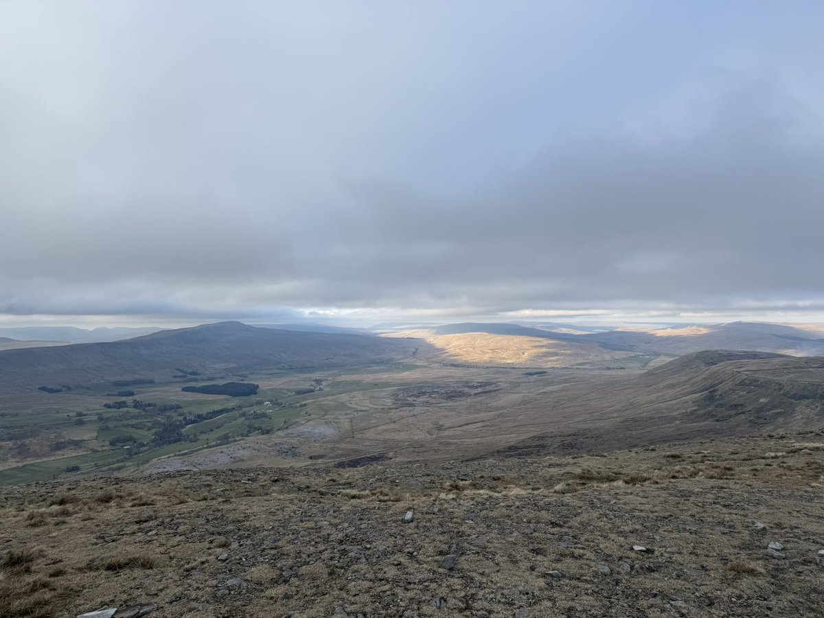blackdownbirder's tweet image. Quick nip up Ingleborough on a short Yorkshire trip to see friends. Singing Wheatear on the slope up and then a Barn Owl near Clapham.
Yorkshire three peaks finally completed after 12 years since I did the first one - must be some kind of record!