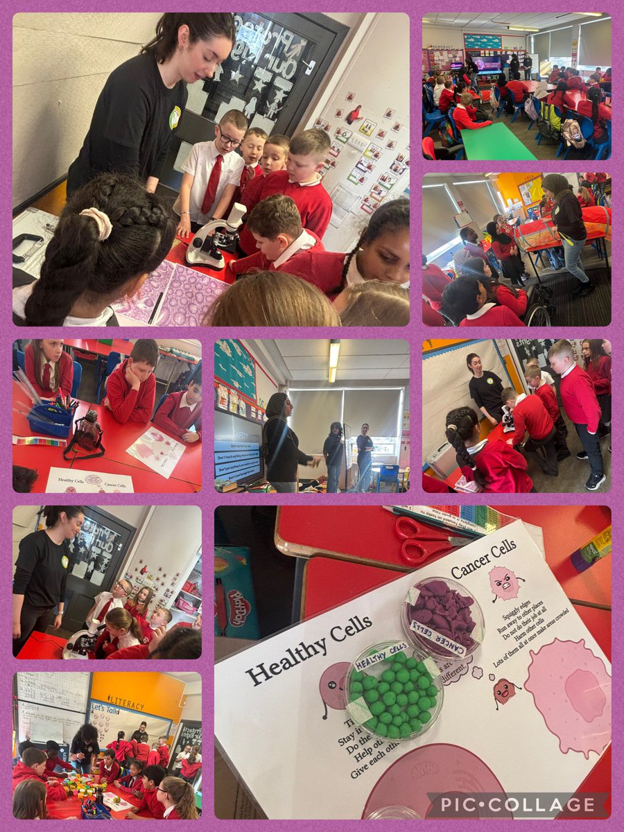 MrsMcKee_CCPS (@missagnew_ccps) on Twitter photo Thank you to <a href="/LabEdwards/">Edwards Lab</a> for working with both P5 classes to teach us about cells. We learned about healthy and cancerous cells. We got to see these cells through a microscope, made them and had a go at being doctors to get the polyps out🧫🔭🥼 <a href="/BiochemSoc/">Biochemical Society</a> Thank you to <a href="/LabEdwards/">Edwards Lab</a> for working with both P5 classes to teach us about cells. We learned about healthy and cancerous cells. We got to see these cells through a microscope, made them and had a go at being doctors to get the polyps out🧫🔭🥼 <a href="/BiochemSoc/">Biochemical Society</a>