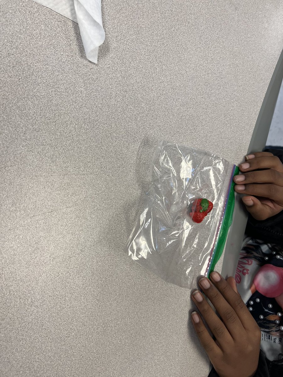 4th graders enjoyed making their own metamorphic rocks at Moving Up Day! #wearecucps #teamcms