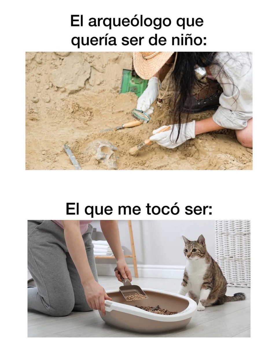 Irma Mando (@nh_smms) on Twitter photo 