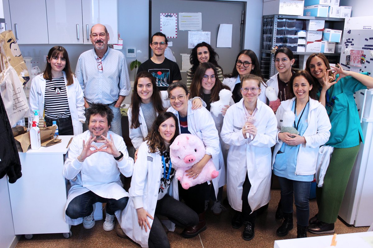 IIS La Fe (@iislafe) on Twitter photo 🔬 El #IISLaFe recauda 25.802 euros para la investigación de enfermedades raras a través de una campaña solidaria online
🦓 El eje de la campaña ha sido el sorteo de la cebra de peluche de <a href="/nh487/">Noah Higón Bellver</a> firmada por <a href="/davidbroncano/">David Broncano</a> y Chris Pratt
🔗 iislafe.es/es/sociedad/no… 🔬 El #IISLaFe recauda 25.802 euros para la investigación de enfermedades raras a través de una campaña solidaria online
🦓 El eje de la campaña ha sido el sorteo de la cebra de peluche de <a href="/nh487/">Noah Higón Bellver</a> firmada por <a href="/davidbroncano/">David Broncano</a> y Chris Pratt
🔗 iislafe.es/es/sociedad/no…