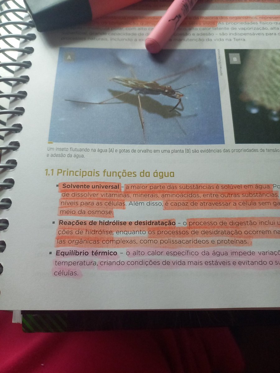 bruna🪐 tweet media